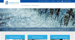 Desktop Screenshot of cityanalysts.ie